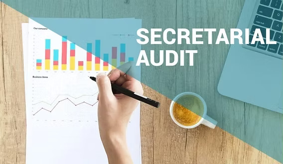 BIRD-EYE-VIEW-OF-SECRETARIAL-AUDIT